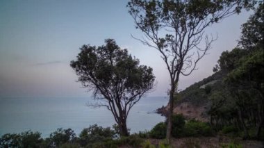 Ağaçlar deniz Sardinya sabah bakan sarp kayalığın üstüne