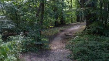 Epping forest, Londra ağaçlarda aracılığıyla hareket atış