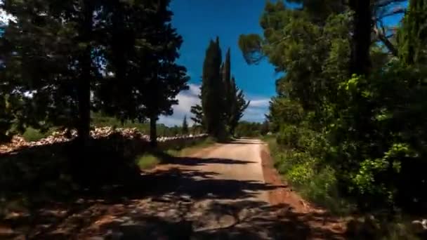 Pov Shot Camera Attached Front Road Vehicle Driving Beautiful Trails — Stock Video