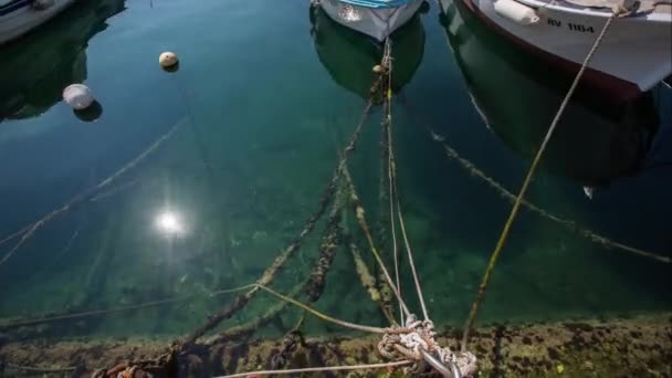 Piccole Barche Pesca Che Battono Acqua Porto Rovigno Croazia Con — Video Stock