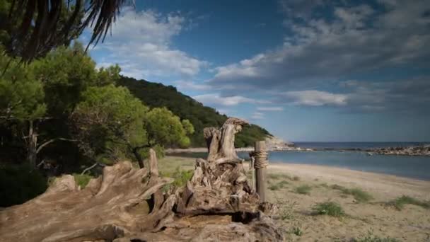Playa Desierta Isla Mljet Croacia Con Impresionantes Aguas Cristalinas Del — Vídeos de Stock