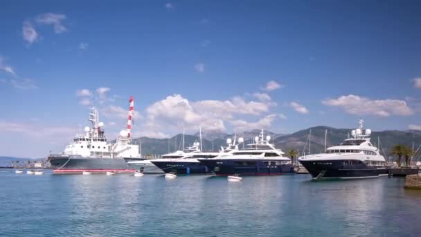 Яхты Порту Черногории Пристань Яхт Тивате Черногория — стоковое видео