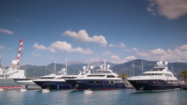 Yachts Dans Marina Porto Montenegro Tivat Montenegro — Video