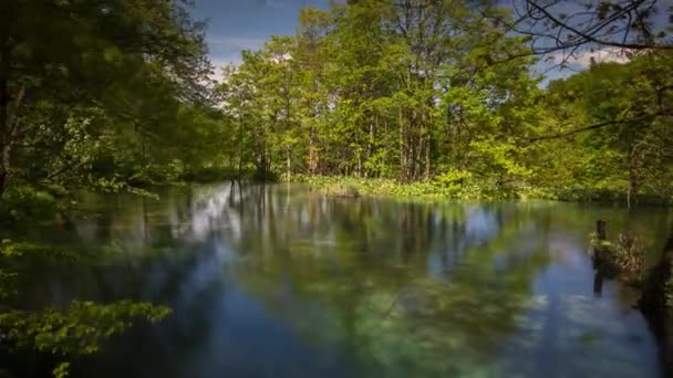 Природное Чудо Национального Парка Плитвицкие Озера Хорватия — стоковое видео
