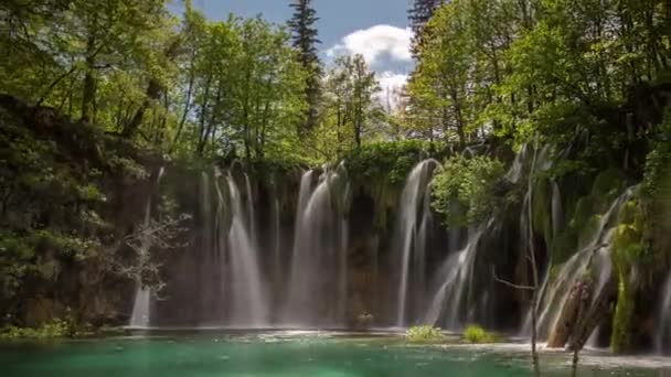 Plitvice 크로아티아의 — 비디오