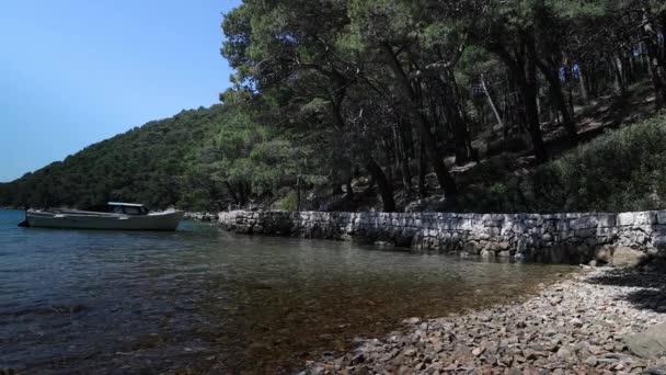 Красивый Пляж Острове Млет Хорватия Кристально Чистой Водой Адриатического Моря — стоковое видео