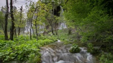 Plitvice Gölleri Milli Parkı, Hırvatistan Timelapse