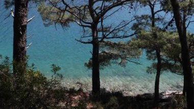 Adriyatik Denizi berrak su çarpıcı Mljet Island Beach.