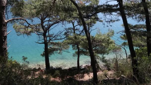 Mljet 岛的海滩 亚得里亚海清澈晶莹的海水 — 图库视频影像