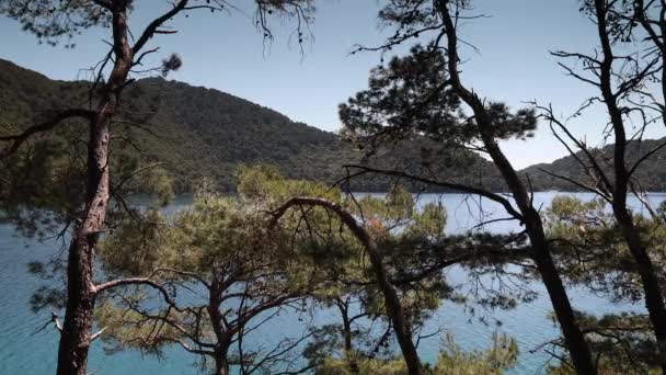 Plage Île Mljet Avec Une Eau Cristalline Magnifique Mer Adriatique — Video
