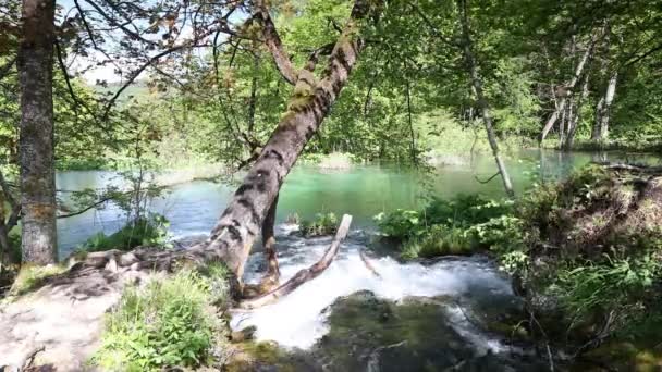 Φυσικό Θαύμα Του Εθνικό Πάρκο Λιμνών Plitvice Κροατία — Αρχείο Βίντεο