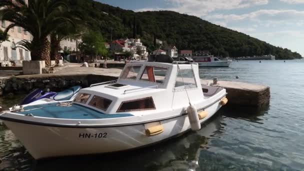 Veli Losinj Mayıs 2017 Veli Losinj Hırvatistan Cres Adası Üzerinde — Stok video