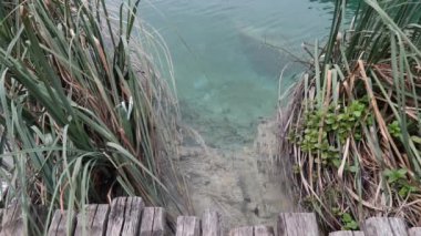 Plitvice Gölleri Milli Parkı Hırvatistan doğal