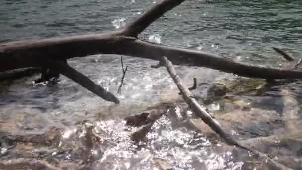 Природа Национального Парка Плитвицкие Озера Хорватии — стоковое видео