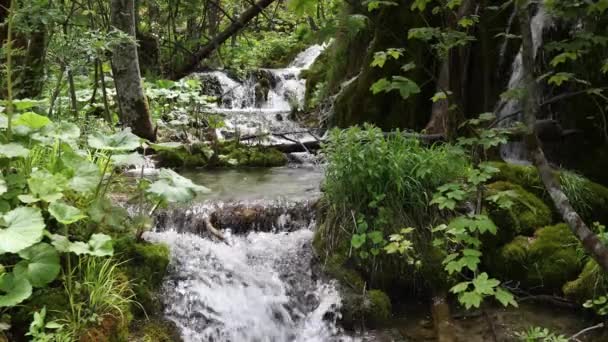 Přírodní Zázrak Národního Parku Plitvická Jezera Chorvatsko — Stock video