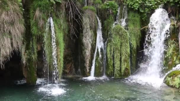 Plitvice 크로아티아의 — 비디오