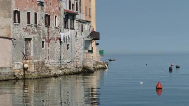 Bella Storica Città Costiera Murata Rovigno Sulla Penisola Istriana Della — Video Stock