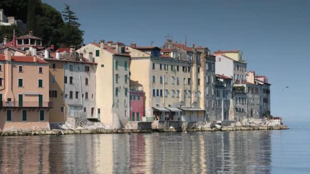 Pięknym Zabytkowym Murem Nadmorskim Mieście Rovinj Półwysep Istria Chorwacji — Wideo stockowe