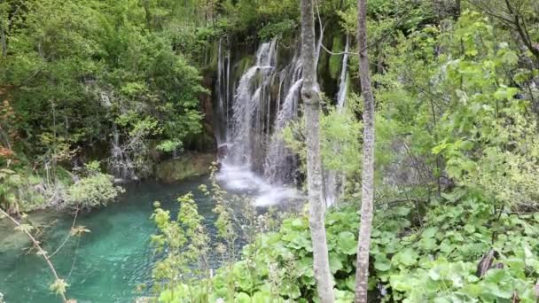 Maravilla Natural Del Parque Nacional Los Lagos Plitvice Croacia — Vídeo de stock