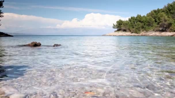 美丽的海滩场面在克罗地亚与令人惊叹的清澈的亚得里亚海海的水 — 图库视频影像