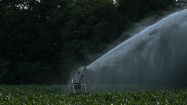 Velké Sprinkler Zavlažování Polí Itálii — Stock video