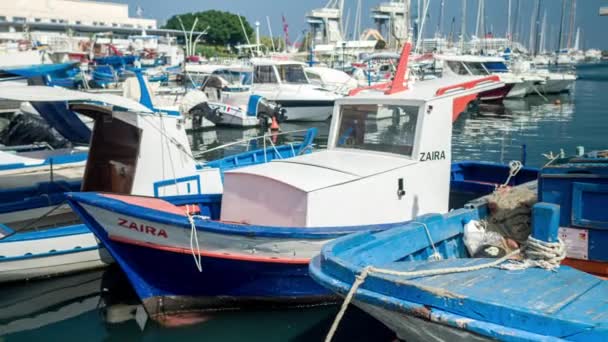 Palermo Italien Oktober 2016 Fiske Båtar Och Små Segelbåtar Förtöjda — Stockvideo