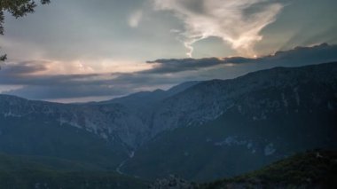 Sardunya bir vadi içinde güzel yalnız ağaç günbatımı timelapse