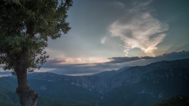 撒丁岛山谷中一棵美丽孤树的日落 Timelapse — 图库视频影像