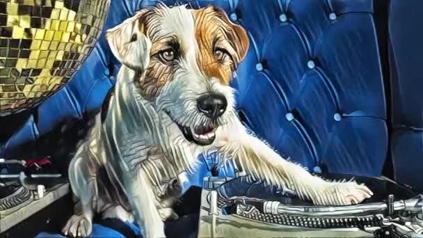 Adorabil Jack Russell Câine Situația Club Disco — Videoclip de stoc