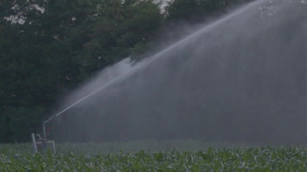 Velké Sprinkler Zavlažování Polí Itálii — Stock video