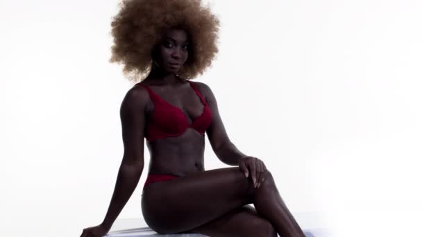 Hermosa Mujer Africana Modelo Grande Afro Peluca Sombra Perfecto Para — Vídeo de stock