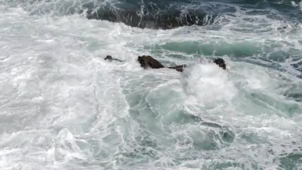 Onde Che Colpiscono Rocce Sporgenti Dall Acqua Loiba Galizia Spagna — Video Stock