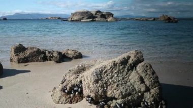 mexilloeira bulunan Galiçya İspanya kıyısında bir yaz gününde üzerinde güzel Plajı