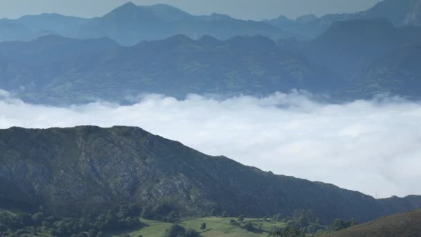 Manhã Acima Das Nuvens Nos Picos Europa Astúria Espanha — Vídeo de Stock