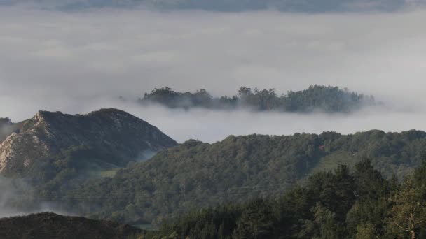 早晨以上的云在 Picos Asturia 西班牙 — 图库视频影像