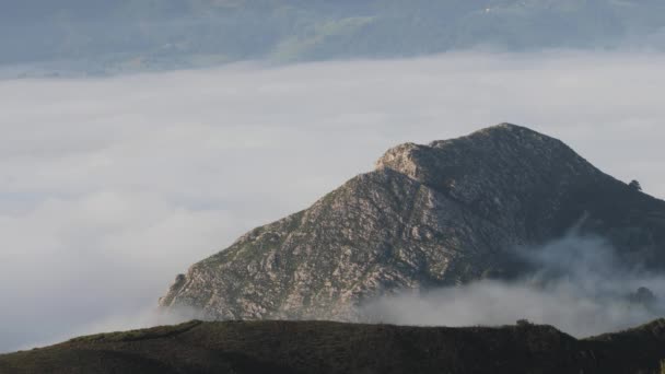 Manhã Acima Das Nuvens Nos Picos Europa Astúria Espanha — Vídeo de Stock