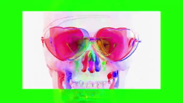 Calavera Con Gafas Sol Gafas Frescas Cambiantes — Vídeo de stock