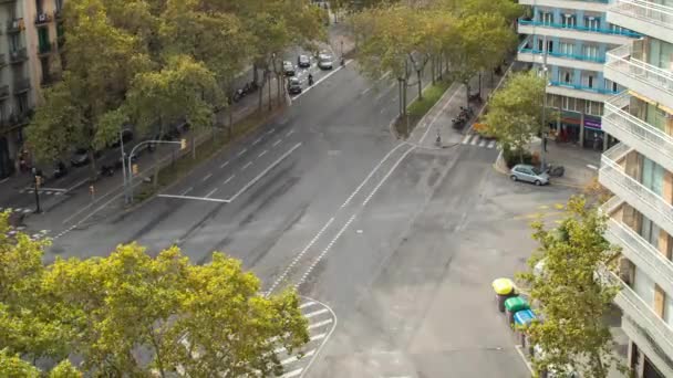 Verkehr Auf Kreuzungen Verkehrsreichsten Straßen Avenida Barcelona Spanien — Stockvideo