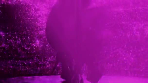 Kutup Dansçı Sıyrık Bacaklarının Yakın — Stok video