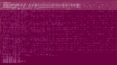 Bilgisayar ekran verileri ve programlama bilgilerini çalıştırma