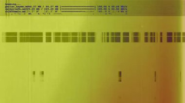 Bilgisayar ekran verileri ve programlama bilgilerini çalıştırma