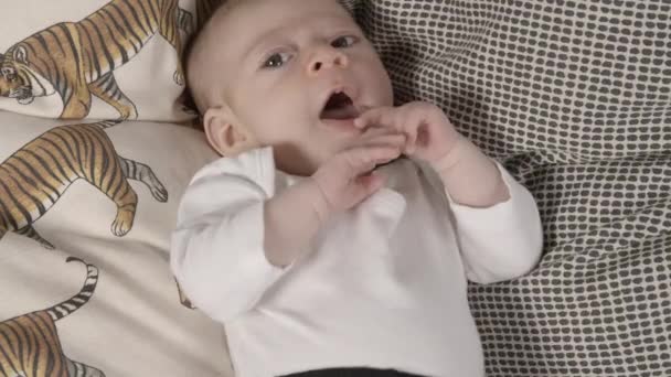 Close Van Baby Meisje Liggend Bank — Stockvideo