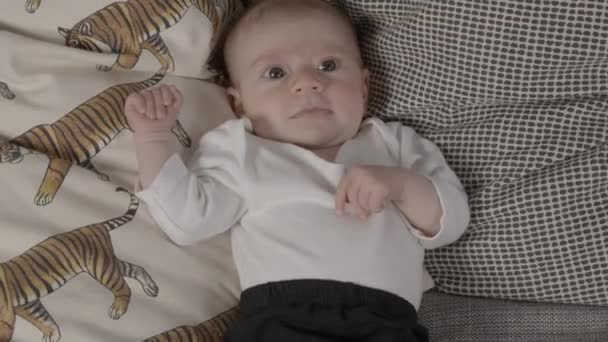 Gros Plan Bébé Fille Souriante Couchée Sur Canapé — Video