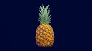 Renkli arka planda dönen ananas yakın çekim