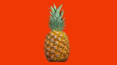 Renkli arka planda dönen ananas yakın çekim