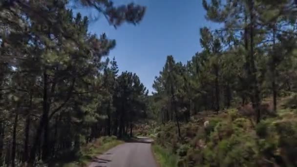 Pov Záběr Silnici Krajinu Galici Španělsku — Stock video