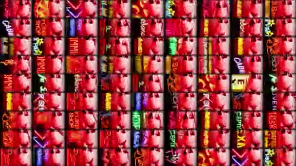 Sekwencja Tablic Seksownych Dziewczyn Dzielnicy Czerwonych Latarni Amsterdamie Holandia — Wideo stockowe