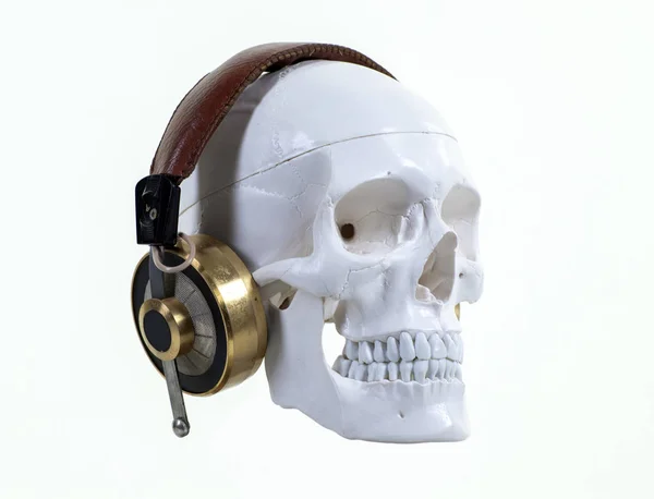 헤드폰으로 두개골 — 스톡 사진