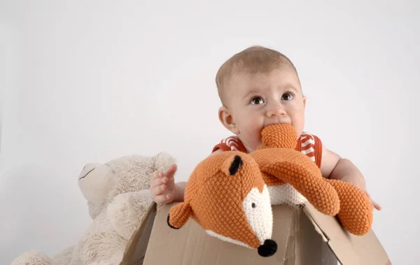 Adorable Bébé Jouant Avec Peluche Peluche Renard Boîte — Photo