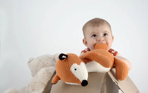 Adorable Baby Playing Cuddly Stuffed Fox Box — Stock Photo, Image